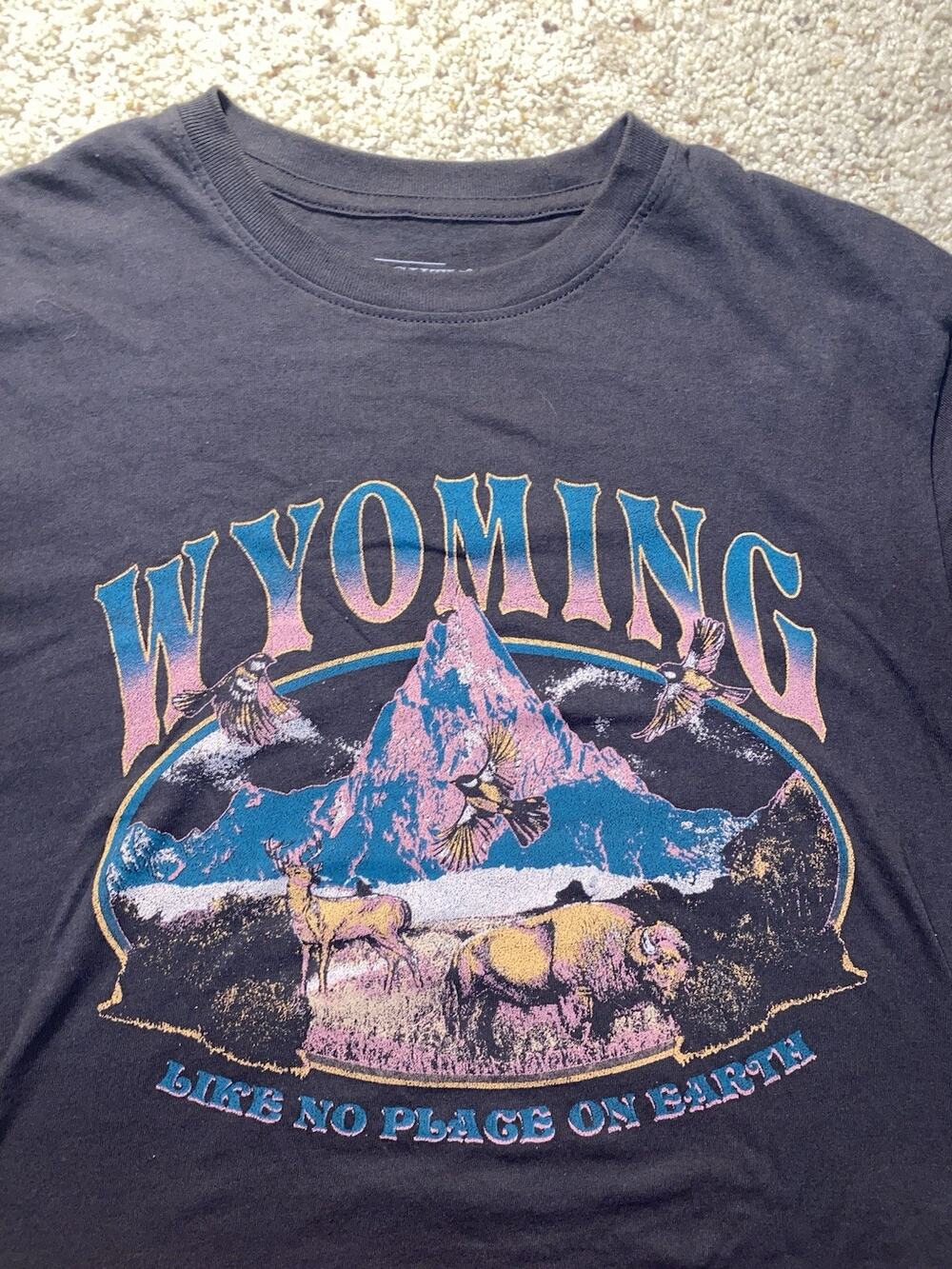Vintage Y2K Style Size XS Wyoming Hunting Skiing Adventure Mighty Fine Tee Shirt